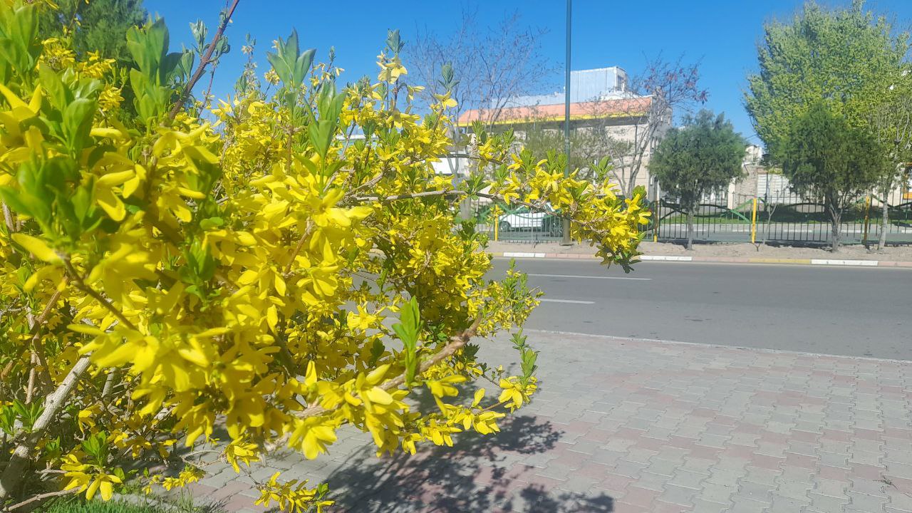 پایگاه خبری تحلیلی صدای زنجان
