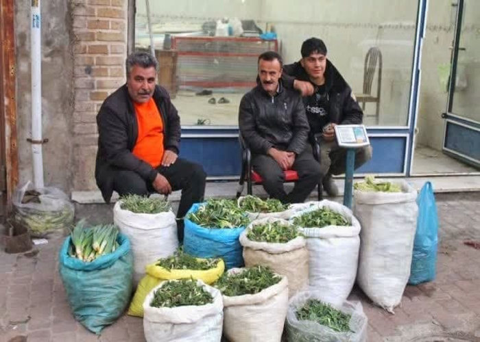 خبرگزاری صدای زنجان