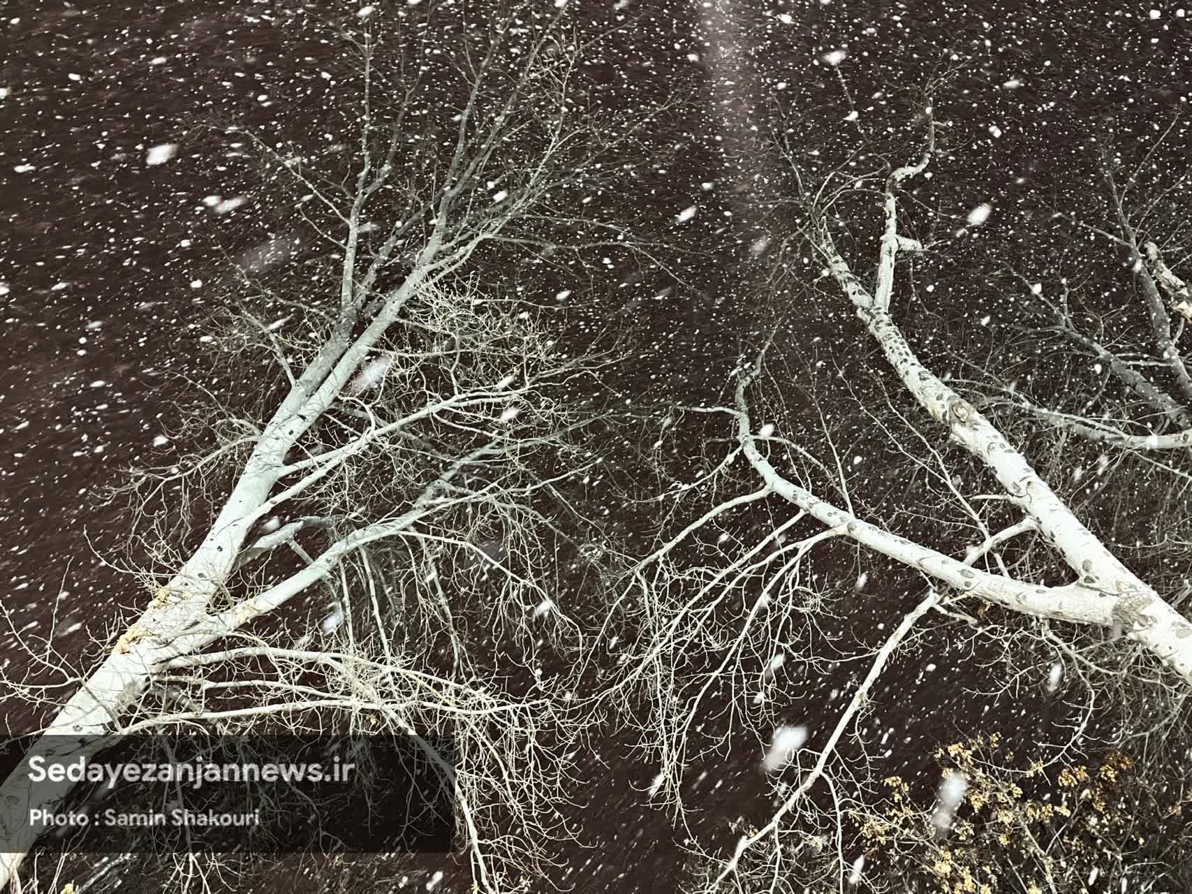 خبرگزاری صدای زنجان