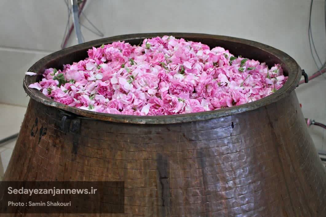 خبرگزاری صدای زنجان