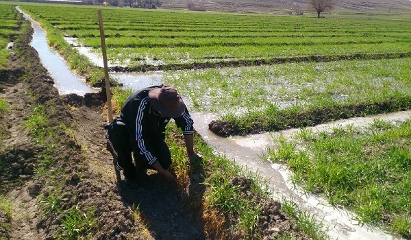 پایگاه خبری تحلیلی صدای زنجان