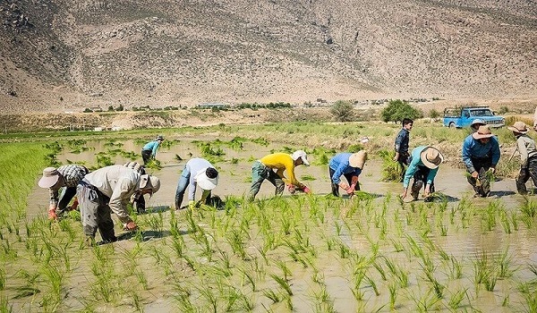 پایگاه خبری صدای زنجان