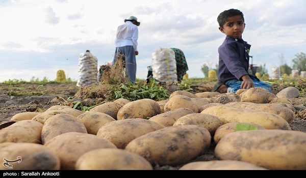 پایگاه خبری تحلیلی صدای زنجان