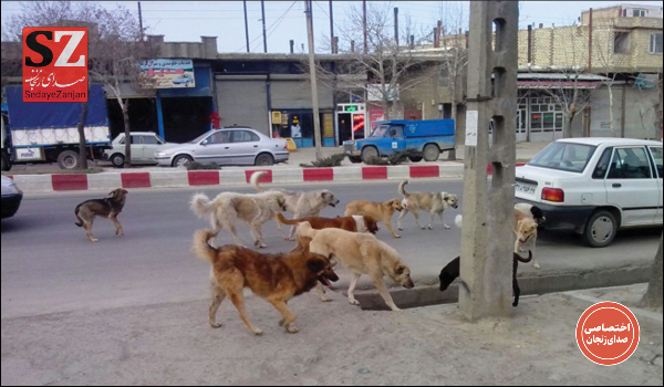 خبرگزاری صدای زنجان