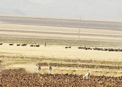 خبرگزاری صدای زنجان