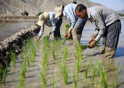 خبرگزاری صدای زنجان