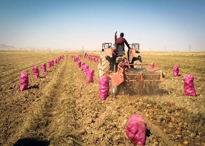 پایگاه خبری تحلیلی صدای زنجان