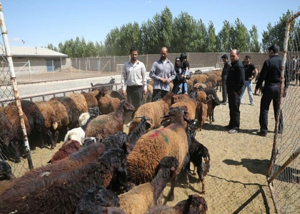 پایگاه خبری تحلیلی صدای زنجان