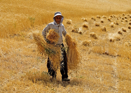 پایگاه خبری صدای زنجان