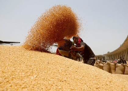 خبرگزاری صدای زنجان