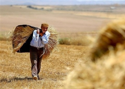 پایگاه خبری تحلیلی صدای زنجان