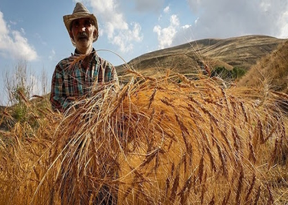 پایگاه خبری تحلیلی صدای زنجان