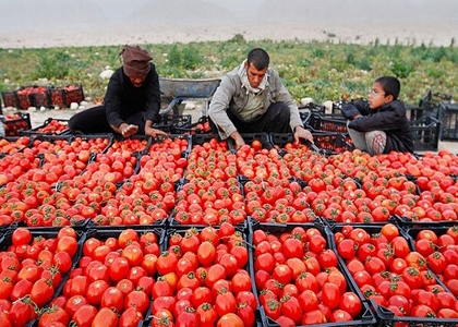 پایگاه خبری تحلیلی صدای زنجان