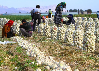 پایگاه خبری تحلیلی صدای زنجان