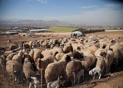 پایگاه خبری صدای زنجان