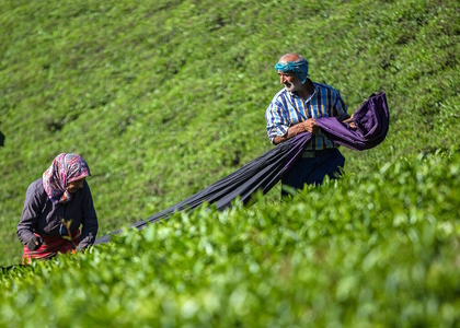 پایگاه خبری تحلیلی صدای زنجان