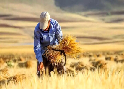 پایگاه خبری صدای زنجان