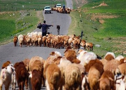 خبرگزاری صدای زنجان