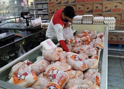 پایگاه خبری تحلیلی صدای زنجان