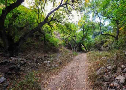 پایگاه خبری صدای زنجان