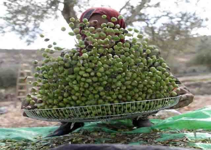 پایگاه خبری تحلیلی صدای زنجان