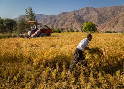 پایگاه خبری صدای زنجان