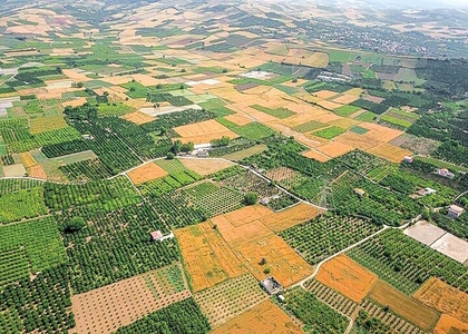 پایگاه خبری صدای زنجان