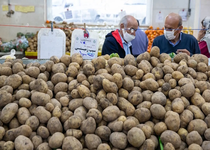 پایگاه خبری صدای زنجان