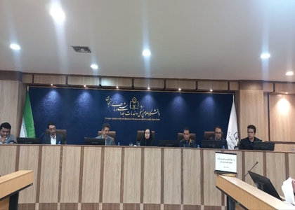 پایگاه خبری صدای زنجان