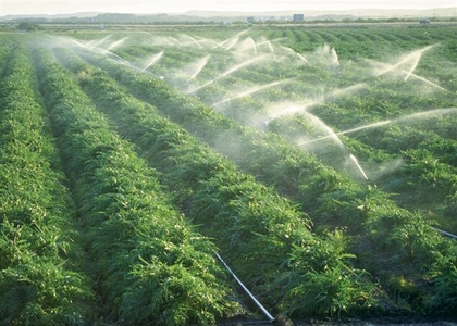 خبرگزاری صدای زنجان