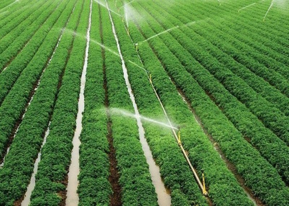 پایگاه خبری تحلیلی صدای زنجان