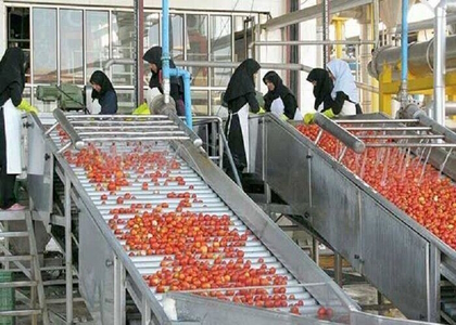 پایگاه خبری صدای زنجان