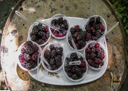 پایگاه خبری صدای زنجان