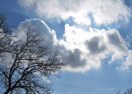 پایگاه خبری صدای زنجان