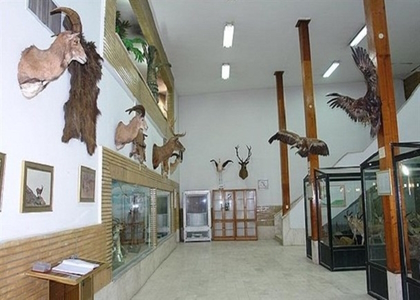 پایگاه خبری تحلیلی صدای زنجان