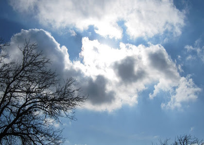 خبرگزاری صدای زنجان