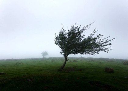 پایگاه خبری صدای زنجان