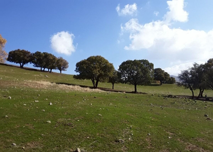 خبرگزاری صدای زنجان