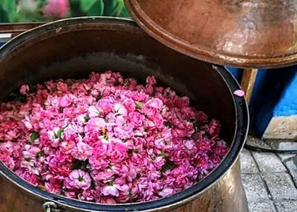 خبرگزاری صدای زنجان