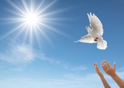 خبرگزاری صدای زنجان
