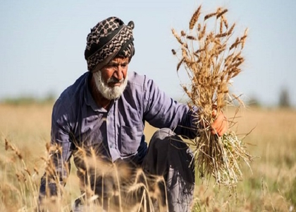 پایگاه خبری صدای زنجان