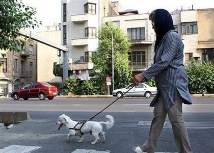 پایگاه خبری صدای زنجان