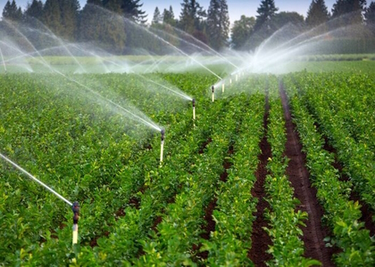 پایگاه خبری صدای زنجان