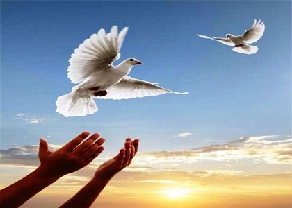 پایگاه خبری صدای زنجان