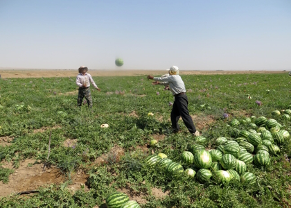 پایگاه خبری صدای زنجان