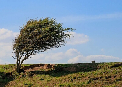 پایگاه خبری صدای زنجان