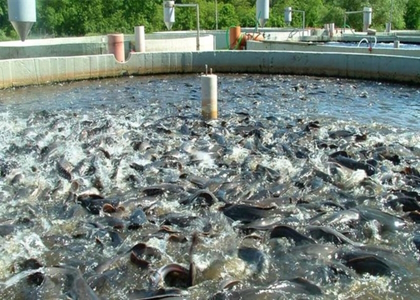 خبرگزاری صدای زنجان