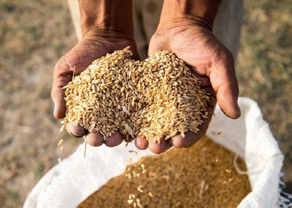 پایگاه خبری صدای زنجان