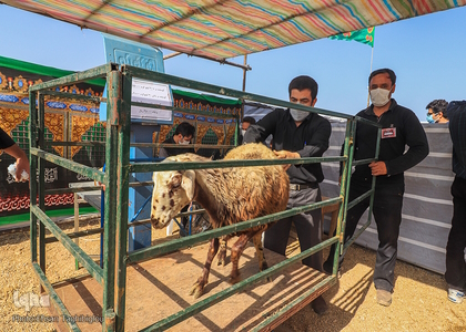 خبرگزاری صدای زنجان