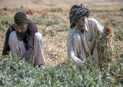پایگاه خبری صدای زنجان